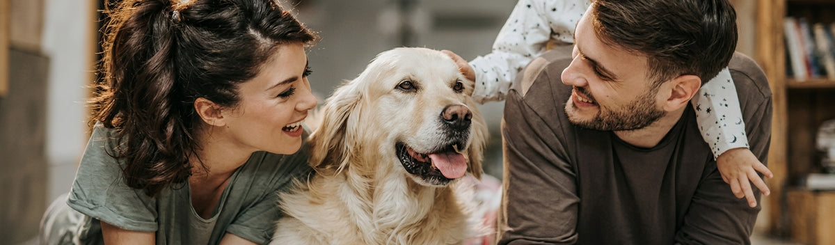 Smiling couple with their golden retriever at home